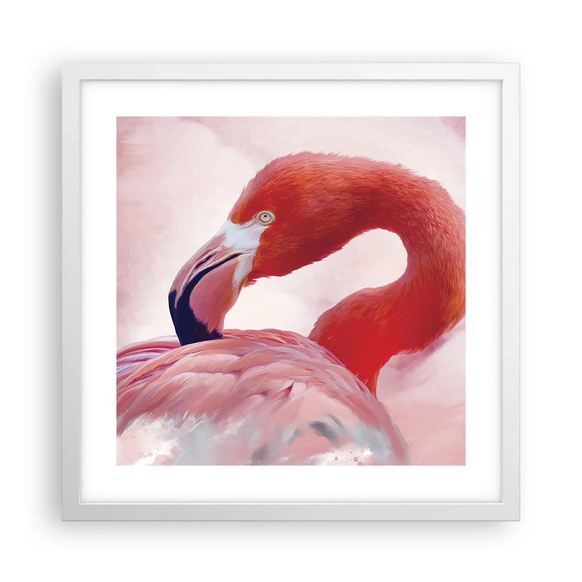Póster en marco blanco - La belleza de las aves - 40x40 cm