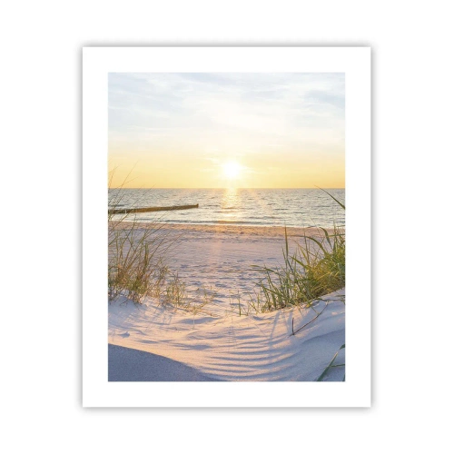 Póster - El sonido del mar, el canto de los pájaros, una playa virgen entre las dunas... - 40x50 cm