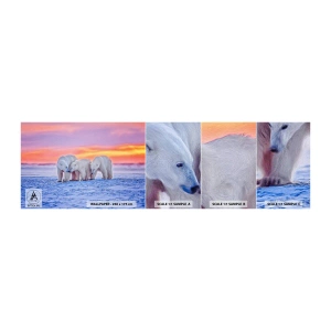 Muestra de fotomural autoadhesivo Deluxe Sticker - Todo lo que necesitas es el calor de la familia - animales, Oso polar, Nieve - 100x30 cm