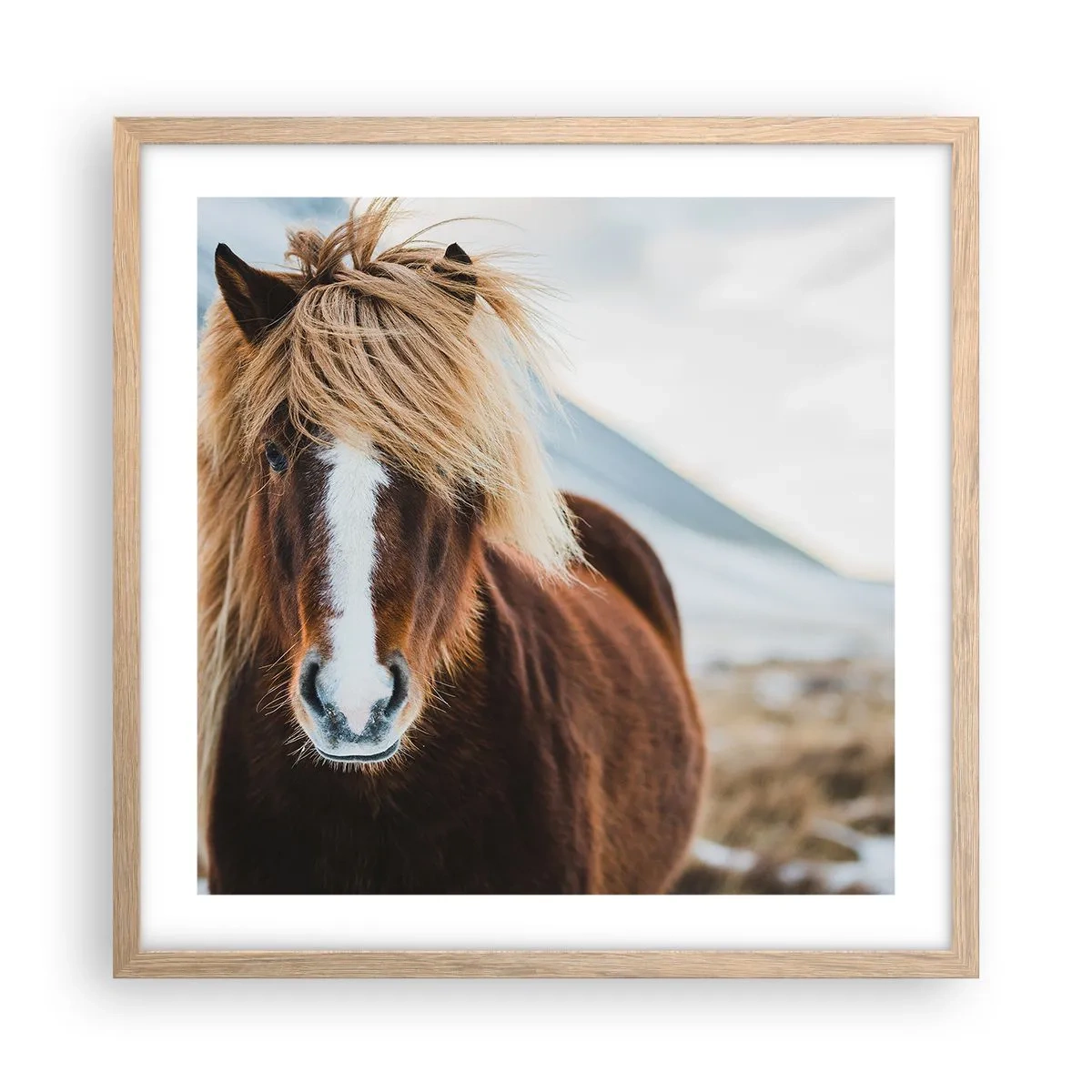 Póster en marco roble claro - ¿Puedes sentir la libertad? - 50x50 cm