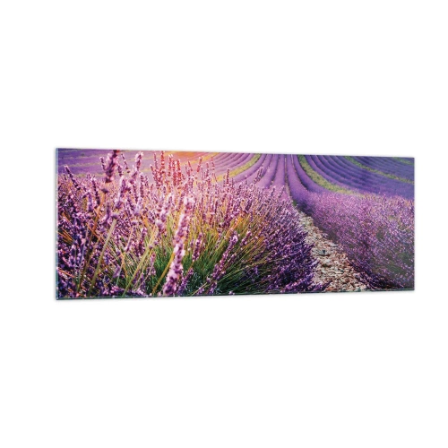 Cuadro sobre vidrio - Impresiones sobre Vidrio - Campo de lavanda al atardecer - 140x50cm - Pradera fragante - Decoración de pared moderna para salón y dormitorio ARTTOR