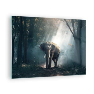 Cuadro sobre vidrio - Impresiones sobre Vidrio - Un elefante caminando por el bosque con la luz del sol filtrándose entre los árboles. - 70x50cm - Un paseo tranquilo - Decoración de pared moderna para salón y dormitorio ARTTOR