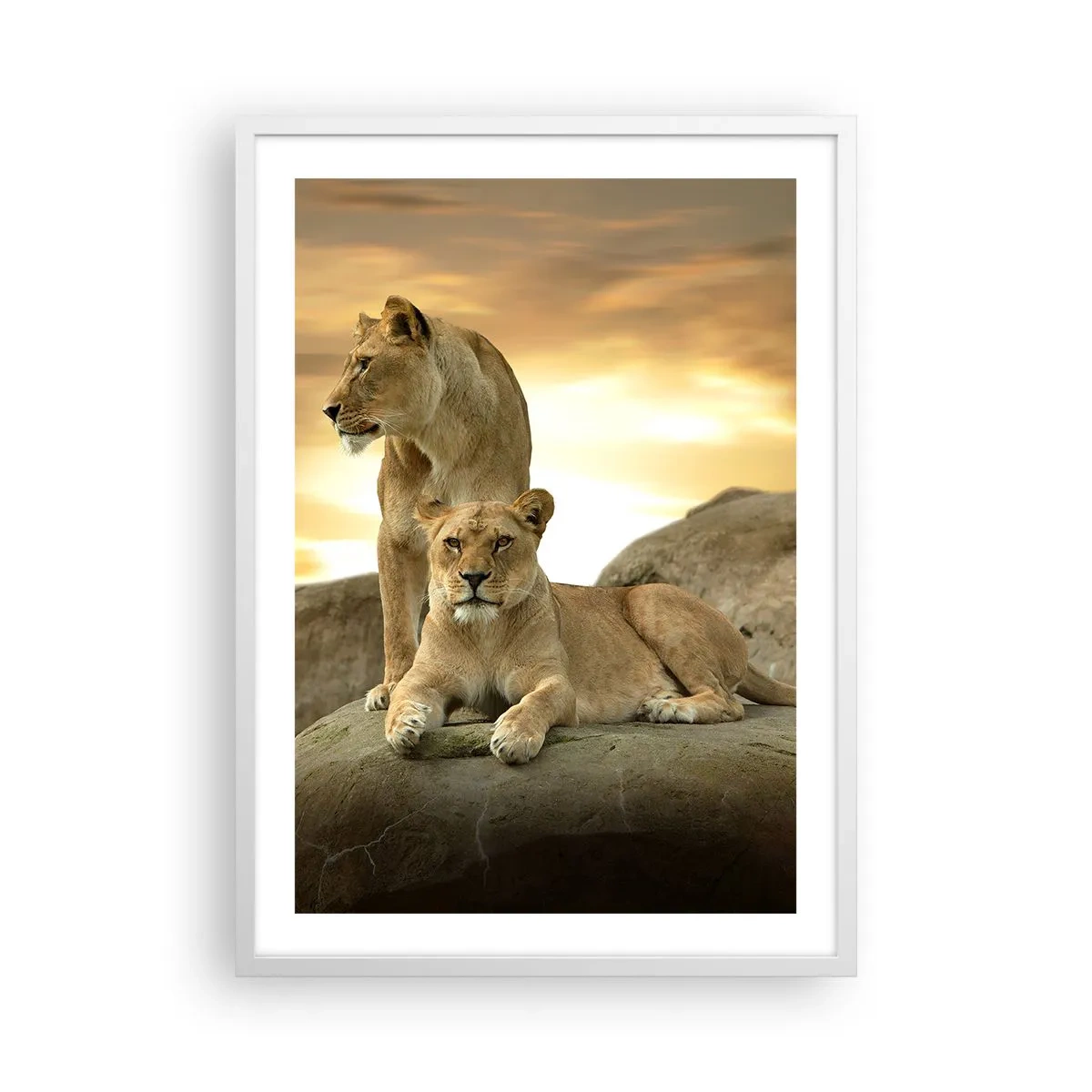 Póster en marco blanco - Majestuosidad real - 50x70 cm