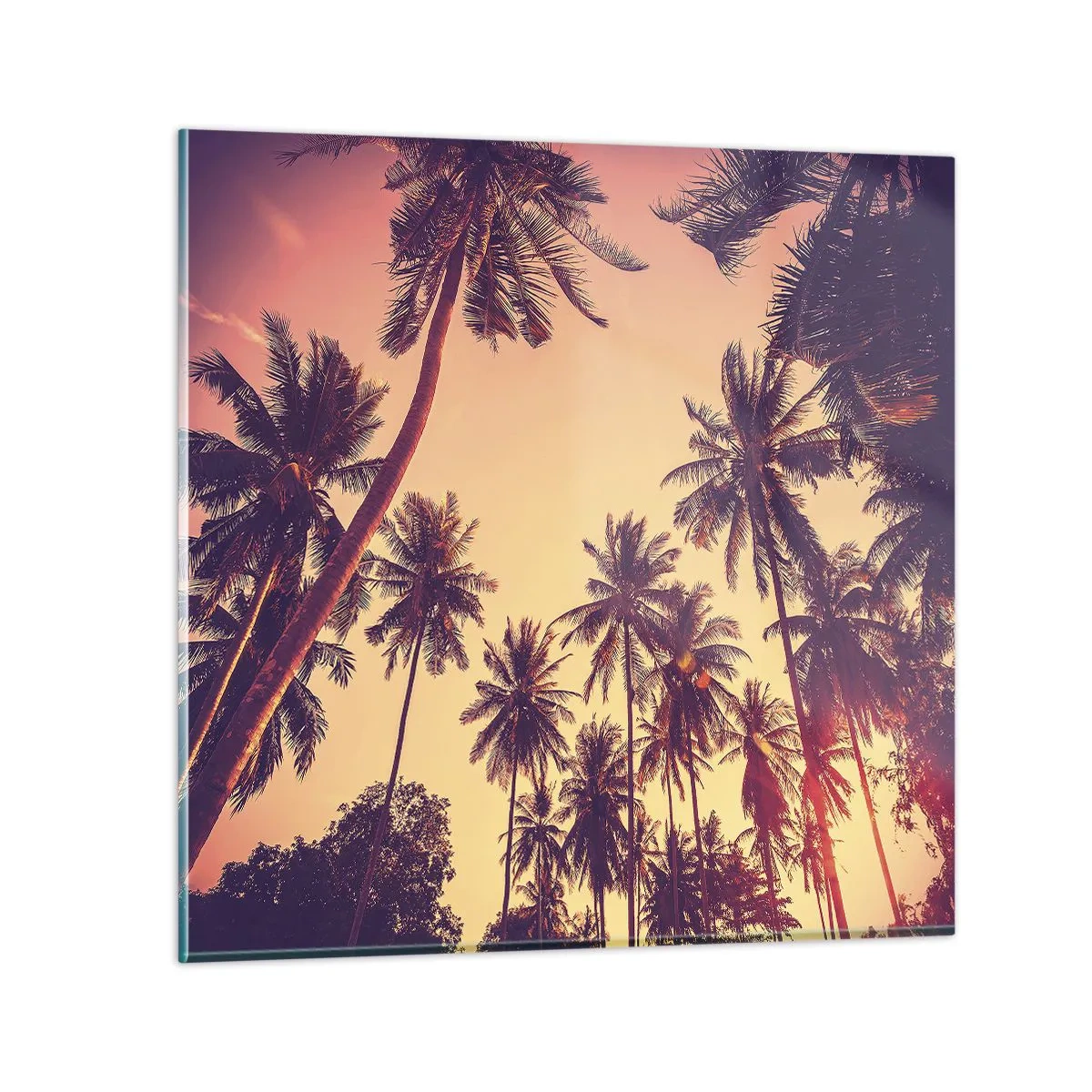 Cuadro sobre vidrio - Impresiones sobre Vidrio - Variante tropical - 30x30 cm