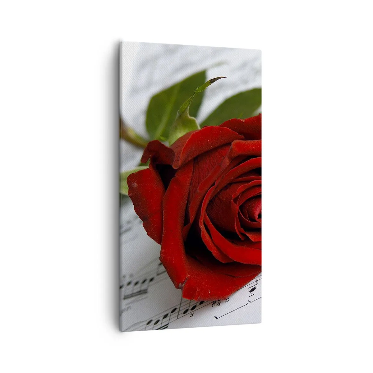 Cuadro sobre lienzo - Impresión de Imagen - La música de los sentimientos en escarlata - 55x100 cm