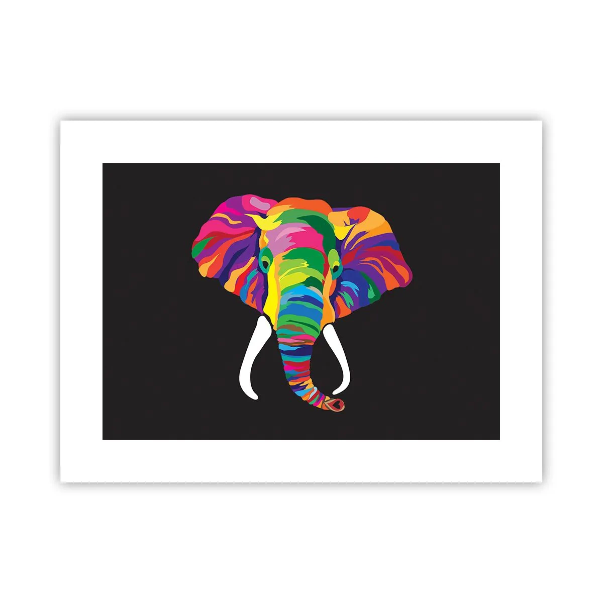 Póster - El elefante al que le gustaba bañarse en el arco iris - 40x30 cm