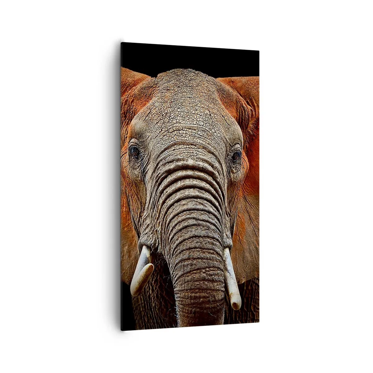 Cuadro sobre lienzo - Impresión de Imagen - Soy salvaje, ¿y tú? - 65x120 cm