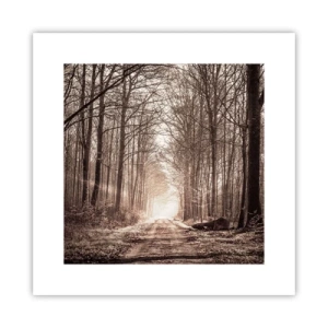 Póster - La catedral del bosque - 30x30 cm