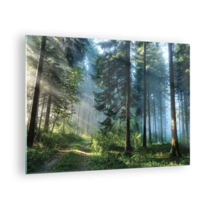 Cuadro sobre vidrio - Impresiones sobre Vidrio - Un sendero forestal en la niebla de la mañana entre árboles altos. - 70x50cm - Radiante por la mañana - Decoración de pared moderna para salón y dormitorio ARTTOR