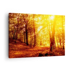 Cuadro sobre lienzo - Impresión de Imagen - Claro de otoño bajo la luz dorada del sol con un sendero forestal - 70x50cm - Hacia un claro de oro - Decoración de pared moderna para salón y dormitorio ARTTOR