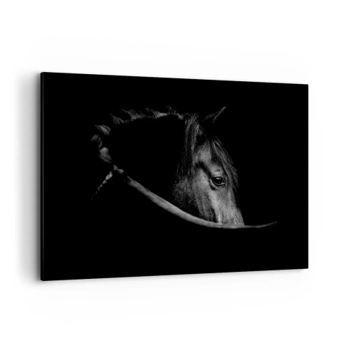Cuadro sobre lienzo - Impresión de Imagen - Un retrato en blanco y negro de un caballo con un sutil juego de luces y sombras sobre un fondo oscuro. - 120x80cm - Príncipe negro - Decoración de pared moderna para salón y dormitorio ARTTOR