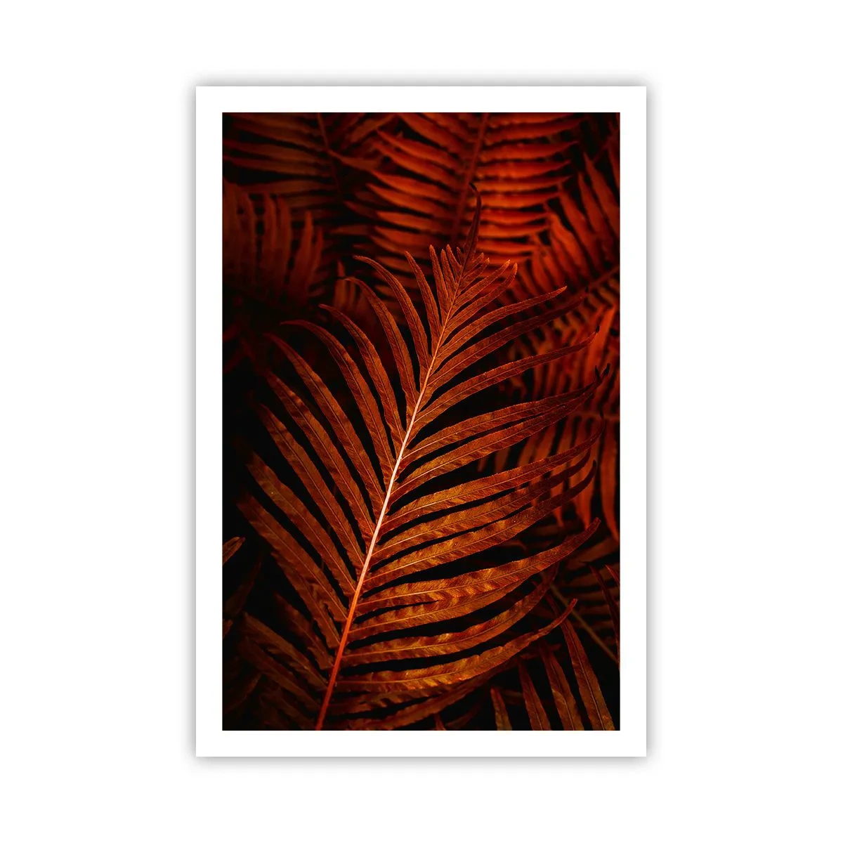 Póster - Las brasas de la vida - 61x91 cm