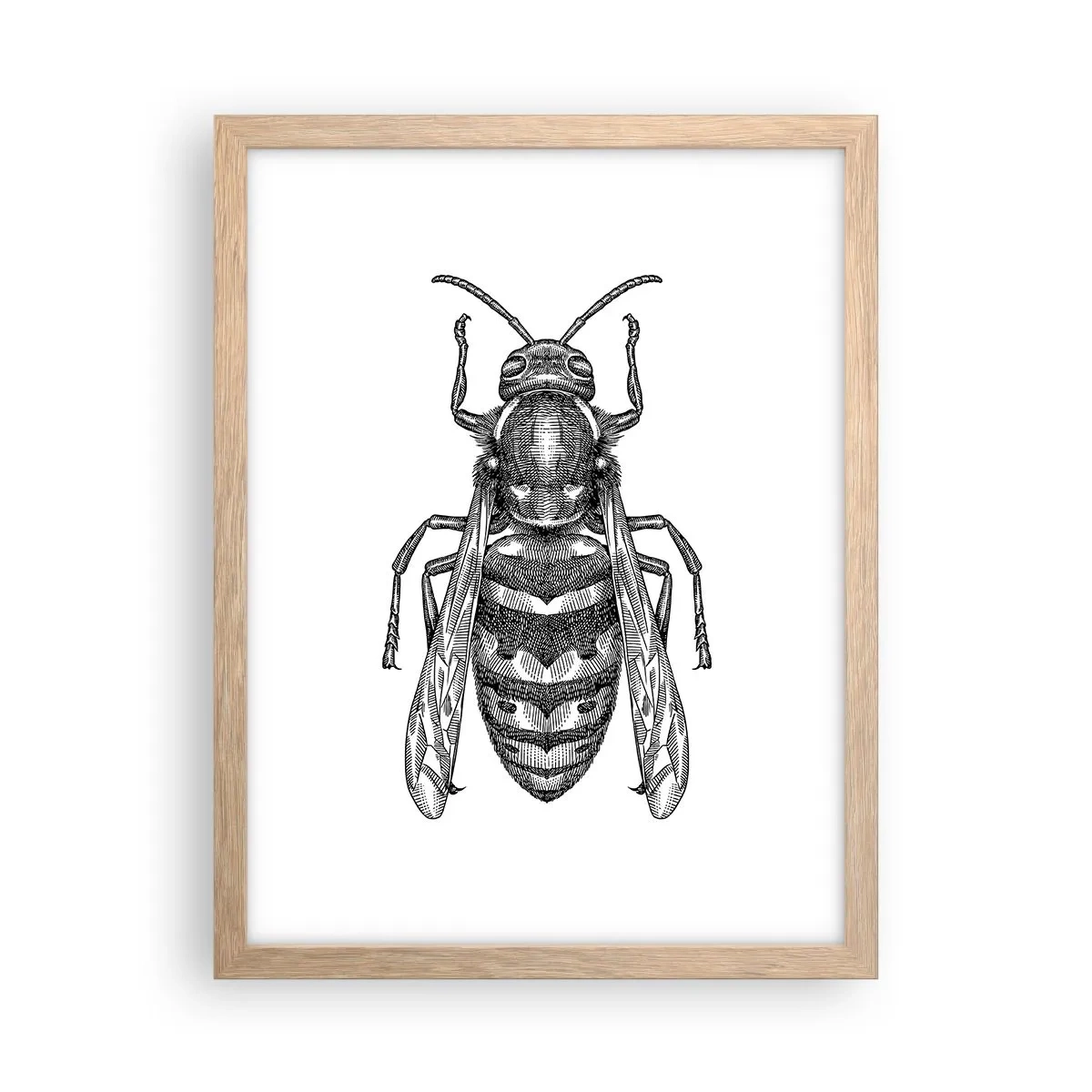 Póster en marco roble claro - Desde un planeta de insectos - 30x40 cm
