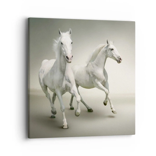 Cuadro sobre lienzo - Impresión de Imagen - ¡Poder blanco! - 40x40 cm