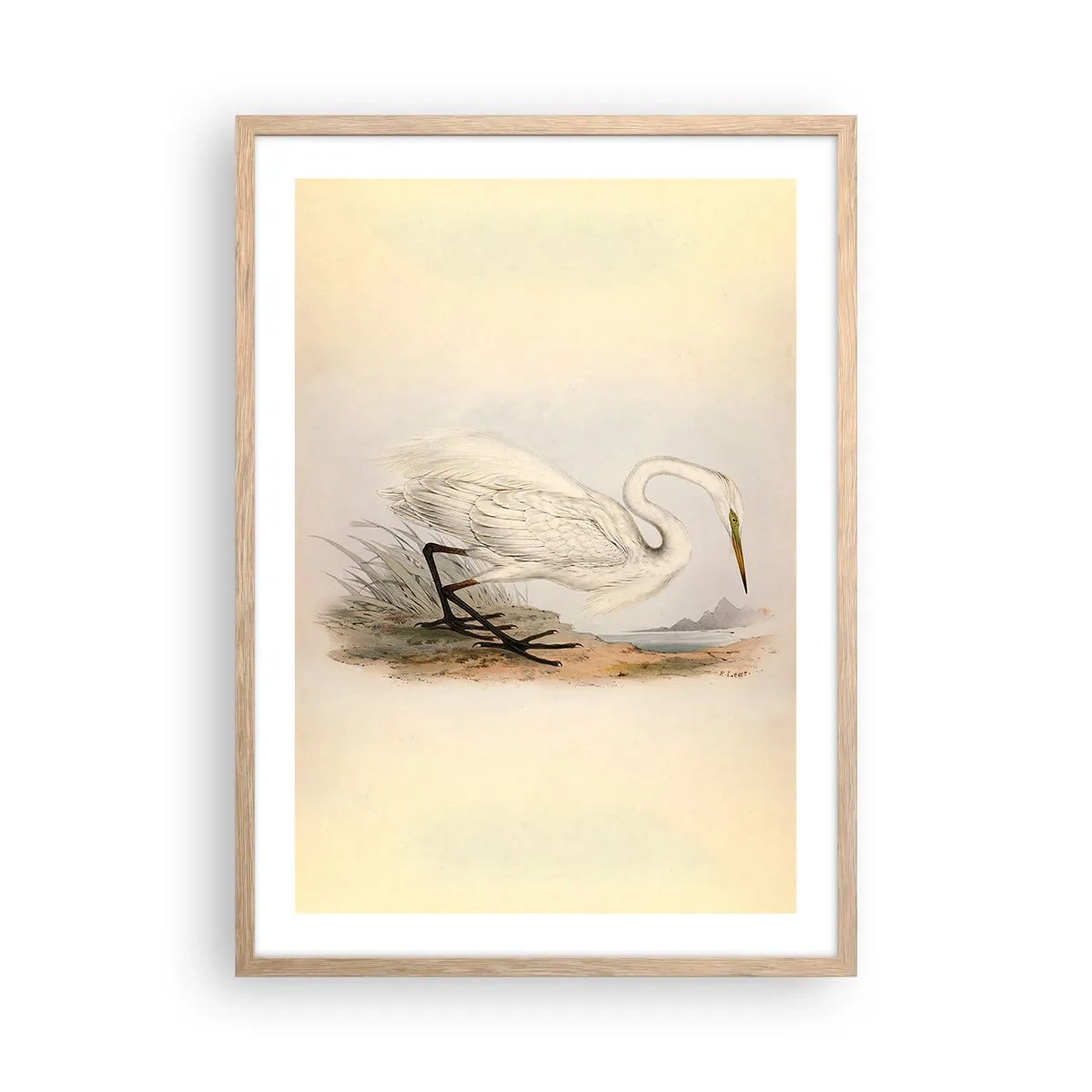 Póster en marco roble claro - Dama de los juncos - 50x70 cm