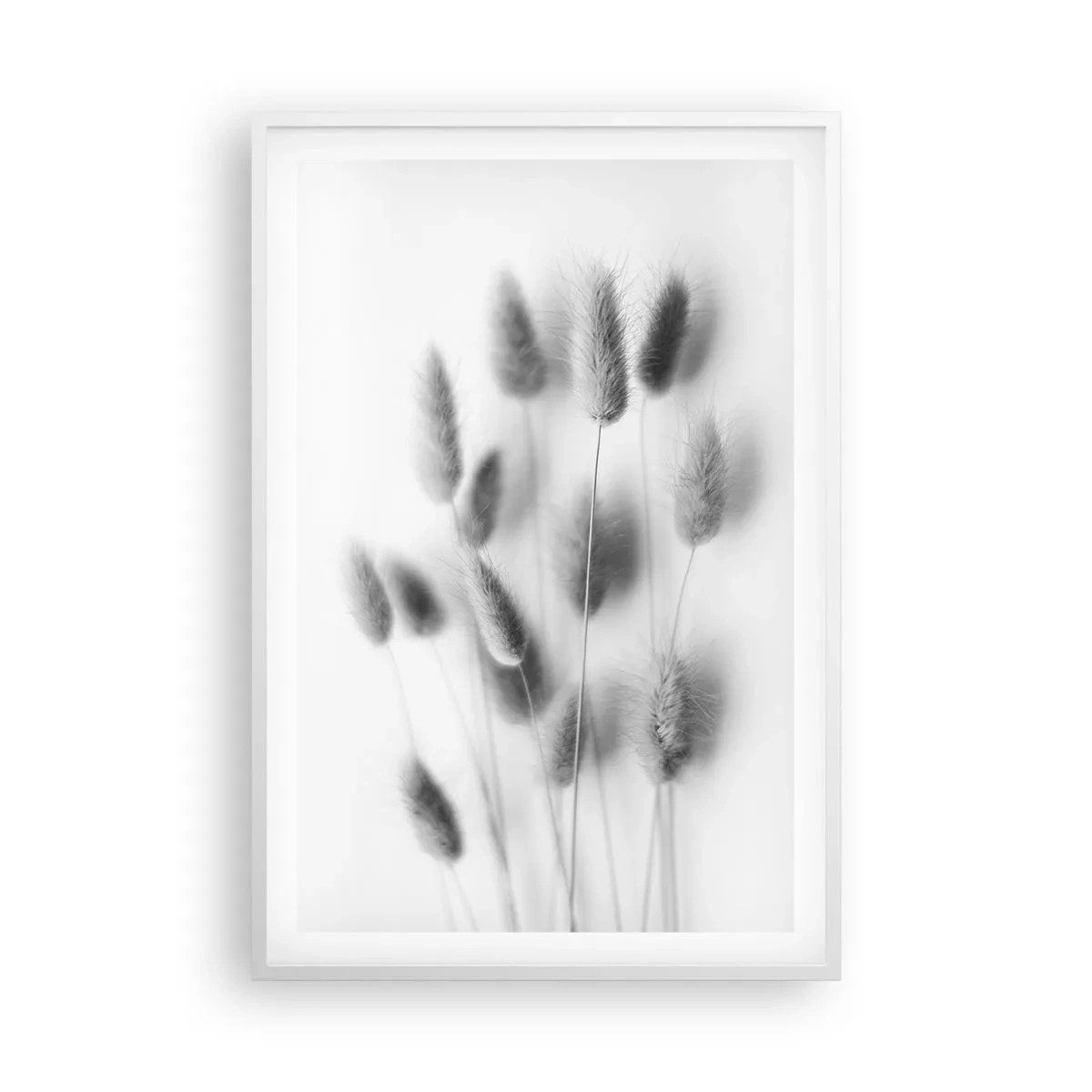 Póster en marco blanco - Esponjas naturales - 61x91 cm