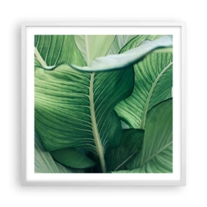 Póster en marco blanco - Vida intensamente verde - 60x60 cm