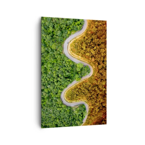 Cuadro sobre lienzo - Impresión de Imagen - Un camino sinuoso a través del bosque visto a vista de pájaro. - 80x120cm - Frontera serpenteante - Decoración de pared moderna para salón y dormitorio ARTTOR