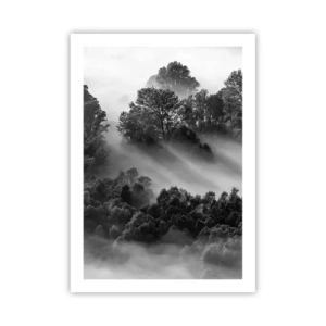Póster - Bosque brumoso en tonos blanco y negro - 50x70cm - Levantarse del sueño - Decoración de pared moderna para salón y dormitorio ARTTOR