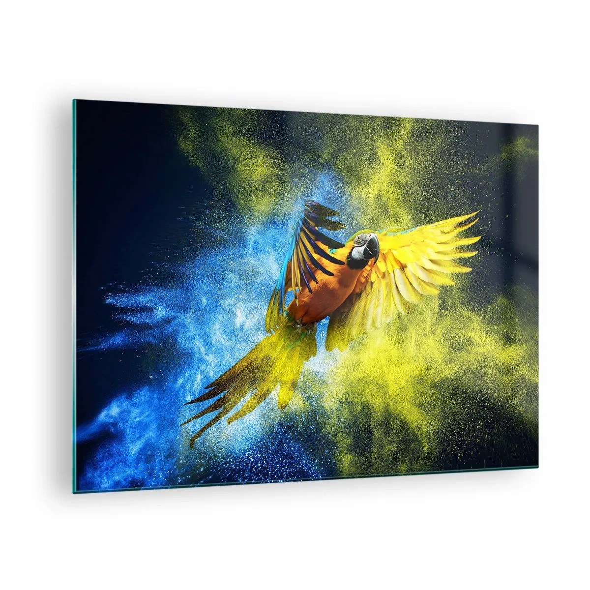 Cuadro sobre vidrio - Impresiones sobre Vidrio - Un loro colorido en vuelo sobre un fondo amarillo y azul. - 70x50cm - En polvo azul y dorado - Decoración de pared moderna para salón y dormitorio ARTTOR