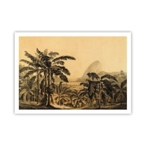 Póster - Dibujo de árboles de plátano sobre un fondo de paisaje tropical. - 100x70cm - En un ambiente colonial - Decoración de pared moderna para salón y dormitorio ARTTOR