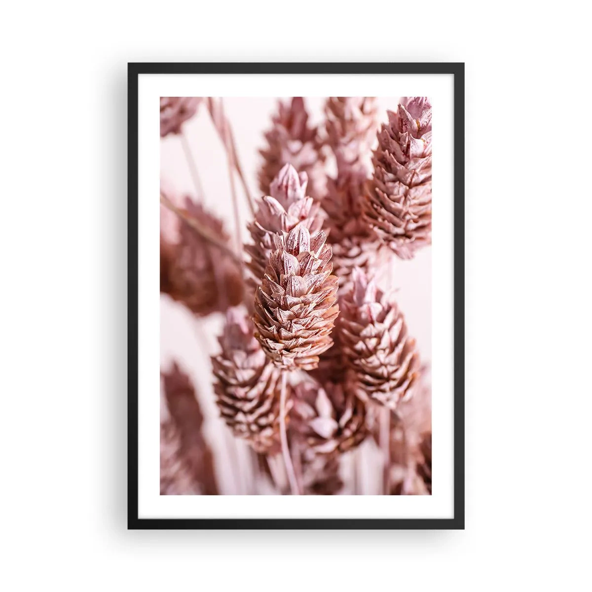 Póster en marco negro - Primer plano de flores secas en tonos rosa. - 50x70cm - Aparentemente discreto - Decoración de pared moderna para salón y dormitorio ARTTOR