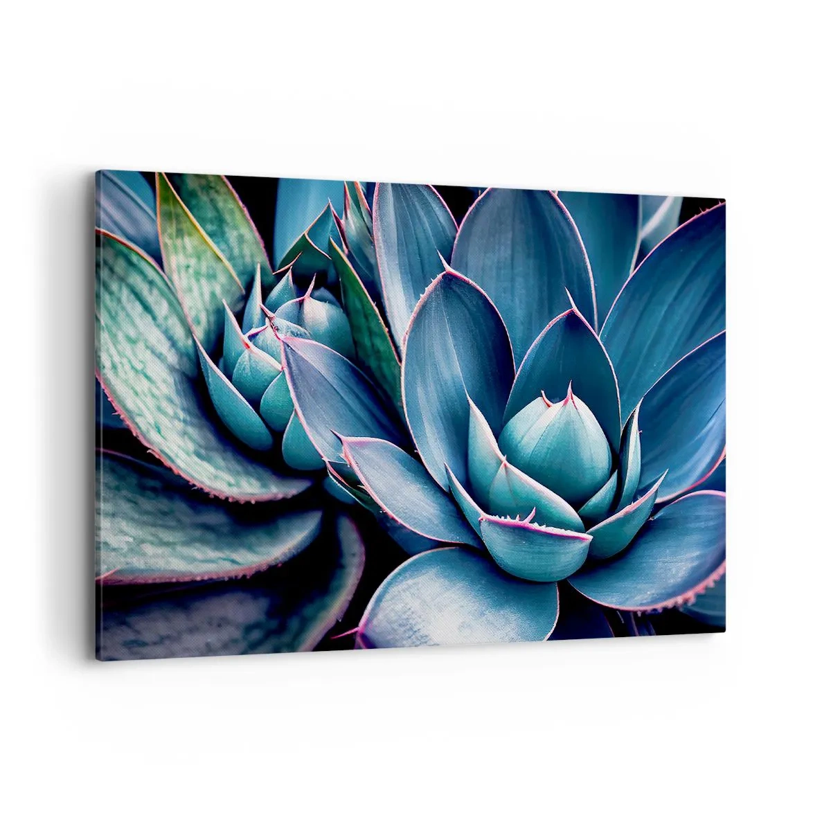 Cuadro sobre lienzo - Impresión de Imagen - Agave en tonos azules y verdes con acentos rosados. - 100x70cm - Fuerza vital - Decoración de pared moderna para salón y dormitorio ARTTOR