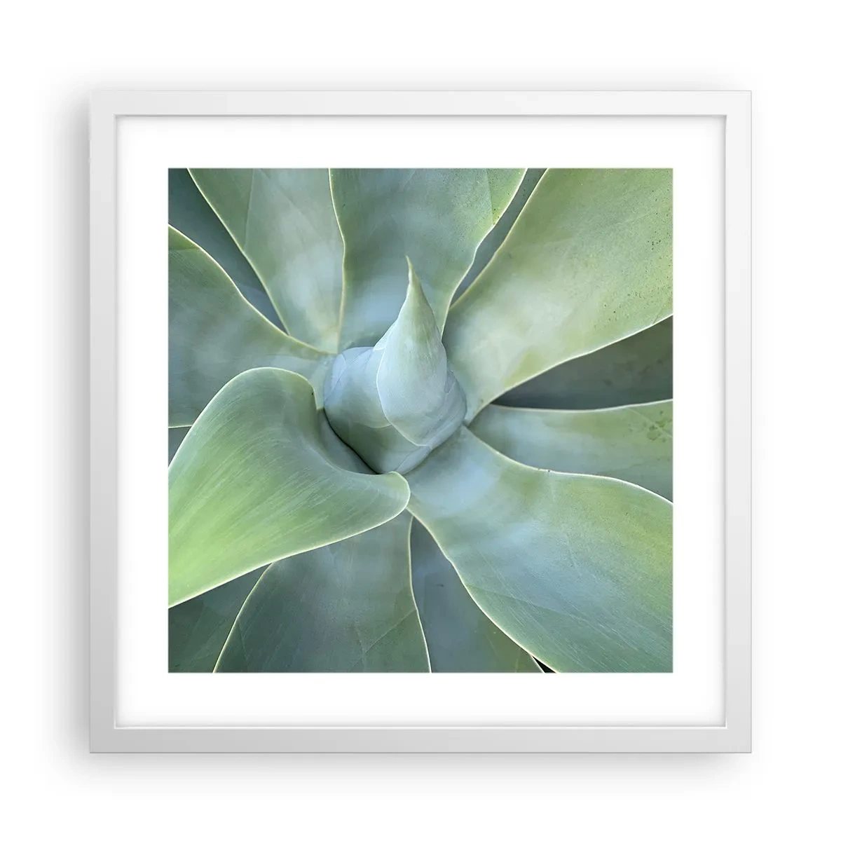 Póster en marco blanco - El nacimiento del verde - 40x40 cm