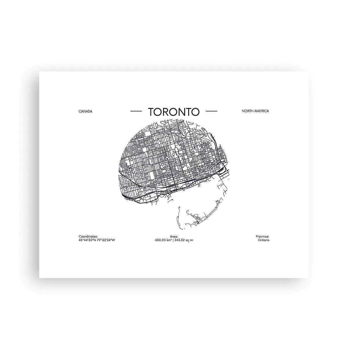 Póster - Anatomía de Toronto - 40x30 cm