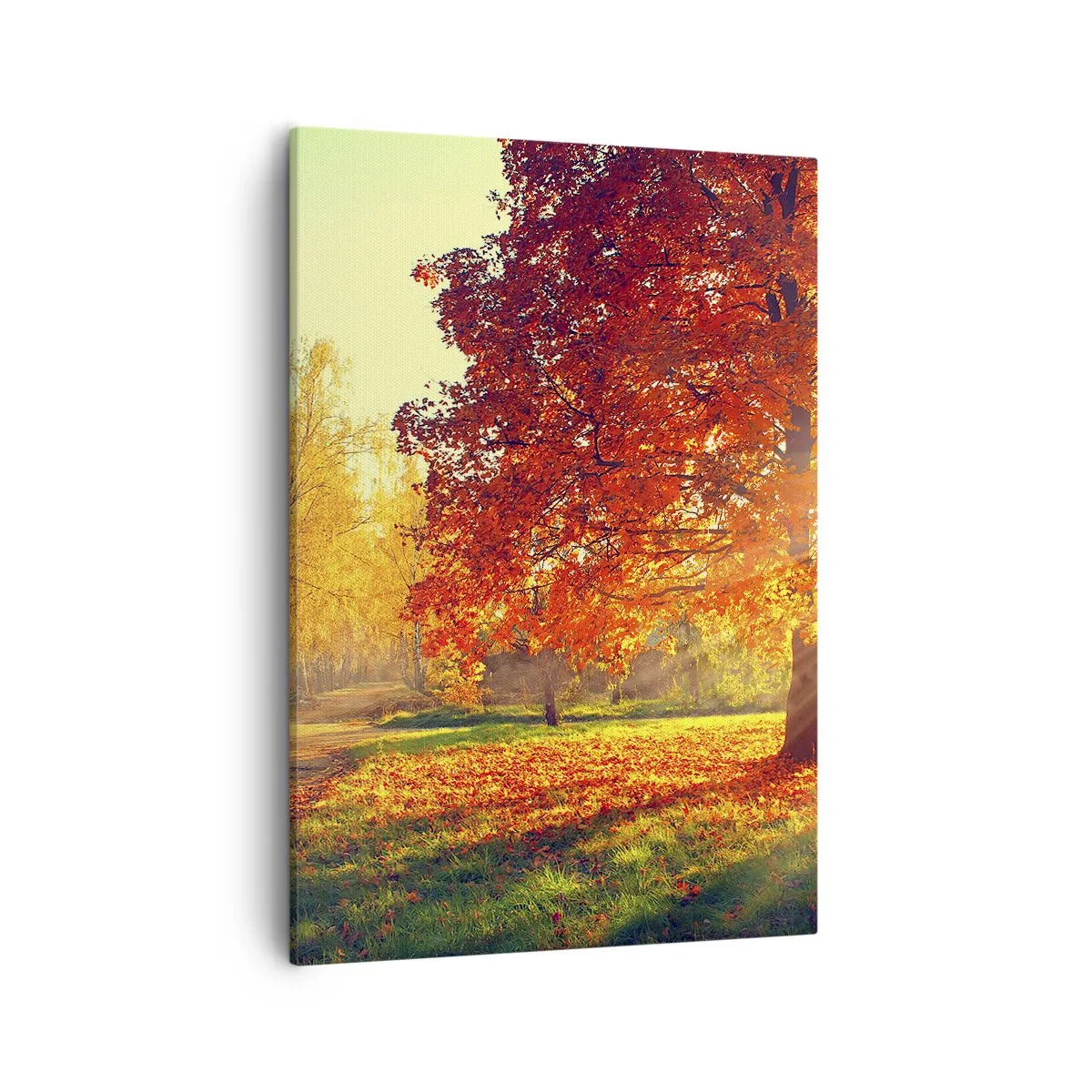 Cuadro sobre lienzo - Impresión de Imagen - Parque otoñal iluminado por la luz del sol - 50x70cm - El rojo es hermoso - Decoración de pared moderna para salón y dormitorio ARTTOR