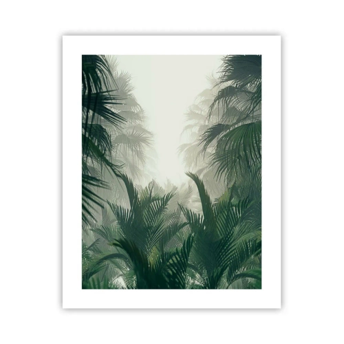 Póster - Misterio tropical - 40x50 cm
