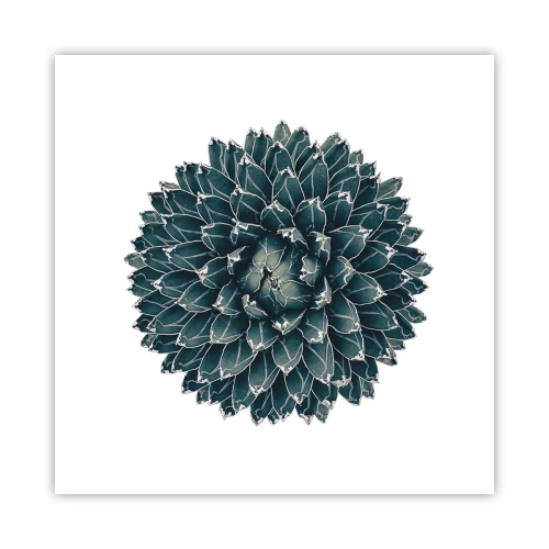 Póster - Estrella del desierto - 50x50 cm