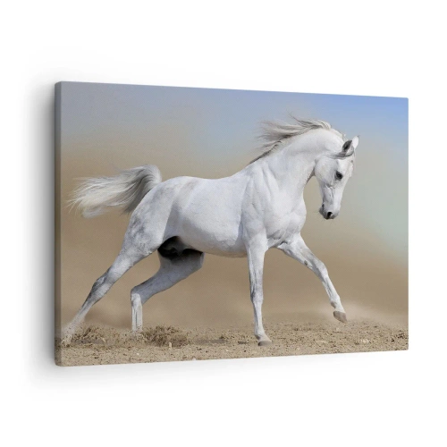 Cuadro sobre lienzo - Impresión de Imagen - Un caballo blanco galopando a través de un paisaje desértico. - 70x50cm - El más bello cuento de hadas árabe - Decoración de pared moderna para salón y dormitorio ARTTOR