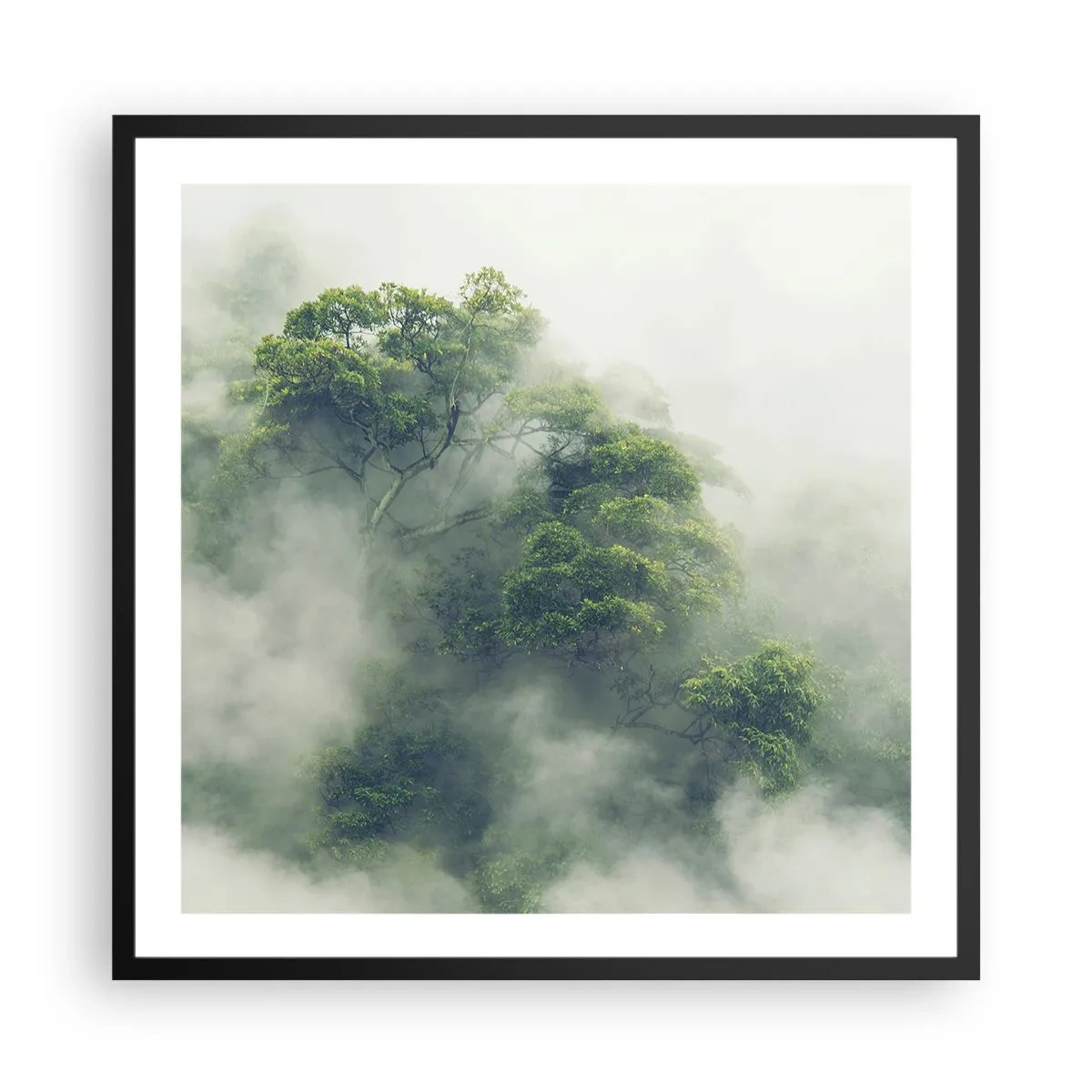 Póster en marco negro - Envuelto en niebla - 60x60 cm