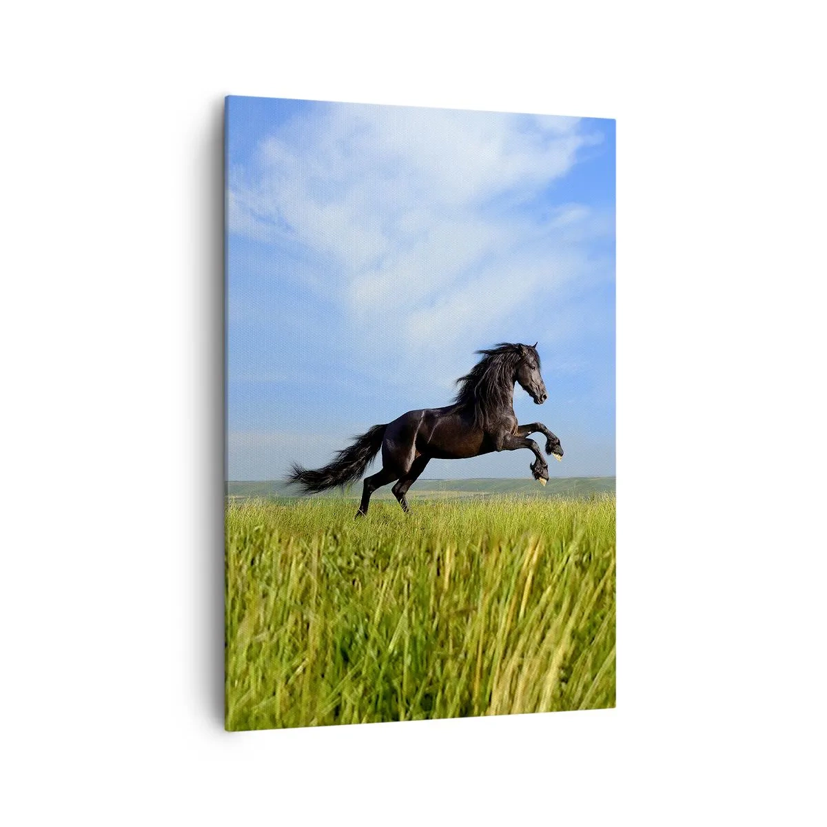 Cuadro sobre lienzo - Impresión de Imagen - Un caballo negro corriendo contra un cielo azul y un prado verde. - 70x100cm - Emocionante manifiesto de libertad - Decoración de pared moderna para salón y dormitorio ARTTOR
