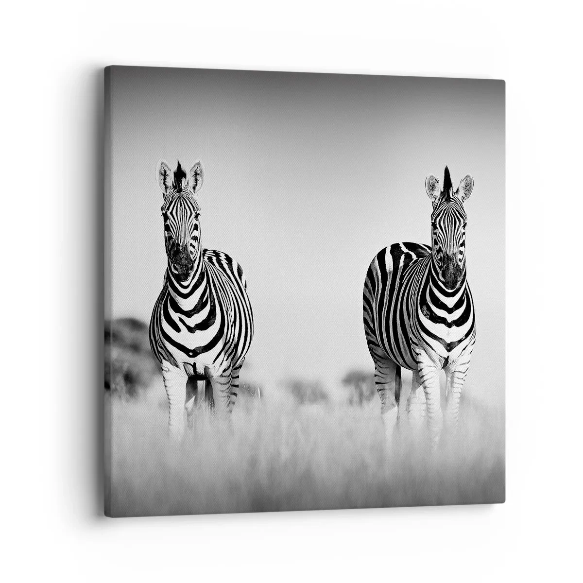 Cuadro sobre lienzo - Impresión de Imagen - Resulta que el mundo es blanco y negro - 40x40 cm