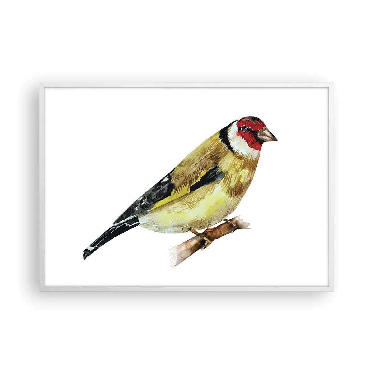 Póster en marco blanco - Retrato de pájaro - 100x70 cm
