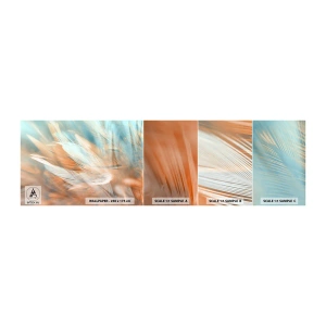 Muestra de fotomural autoadhesivo Deluxe Sticker - En la tierra de la suavidad - Delicado, Plumas, Minimalismo - 100x30 cm
