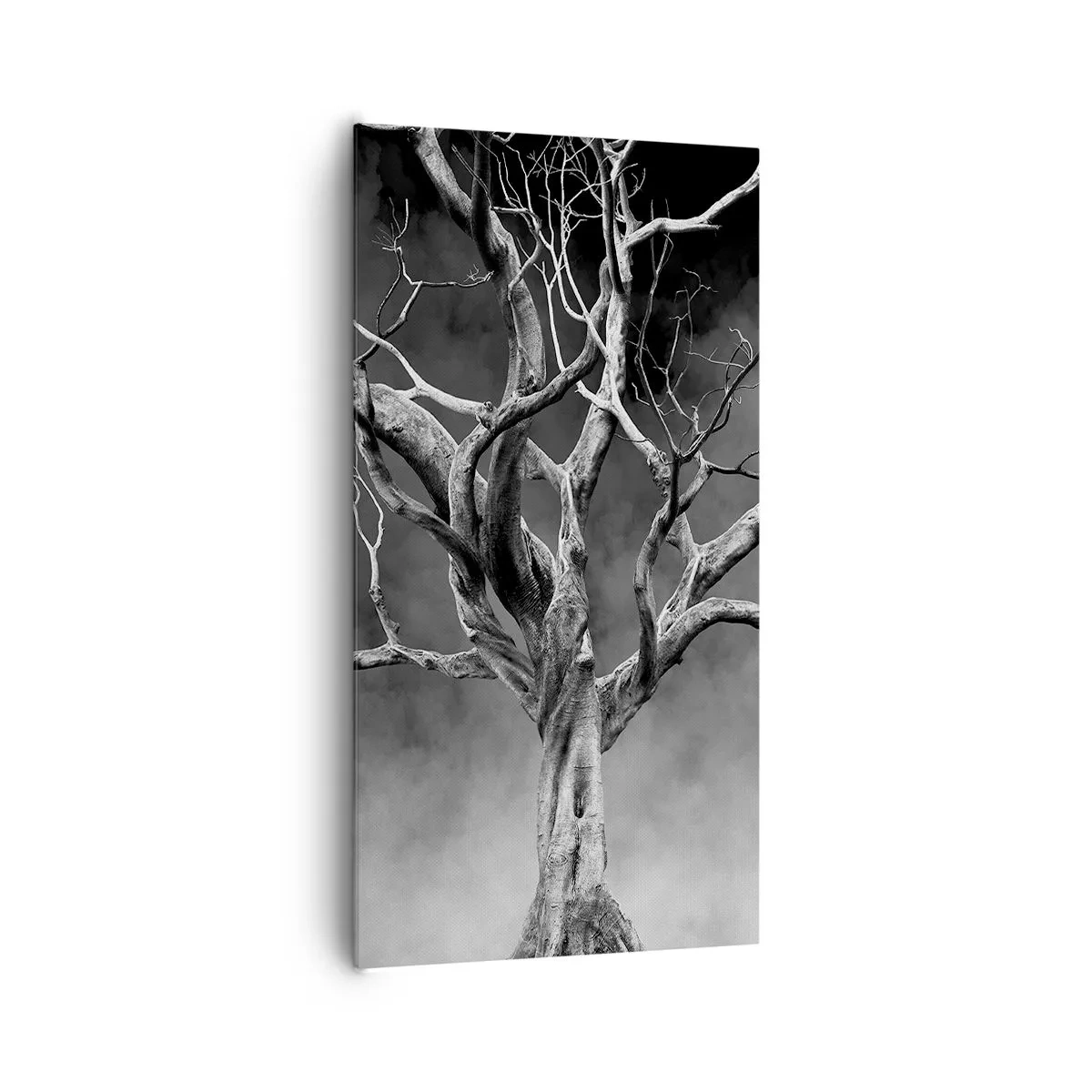 Cuadro sobre lienzo - Impresión de Imagen - Primordial y sagrado - 65x120 cm