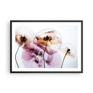 Póster en marco negro - Delicadas flores transparentes en tonos pastel. - 70x50cm - Cuerpo de flor - Decoración de pared moderna para salón y dormitorio ARTTOR