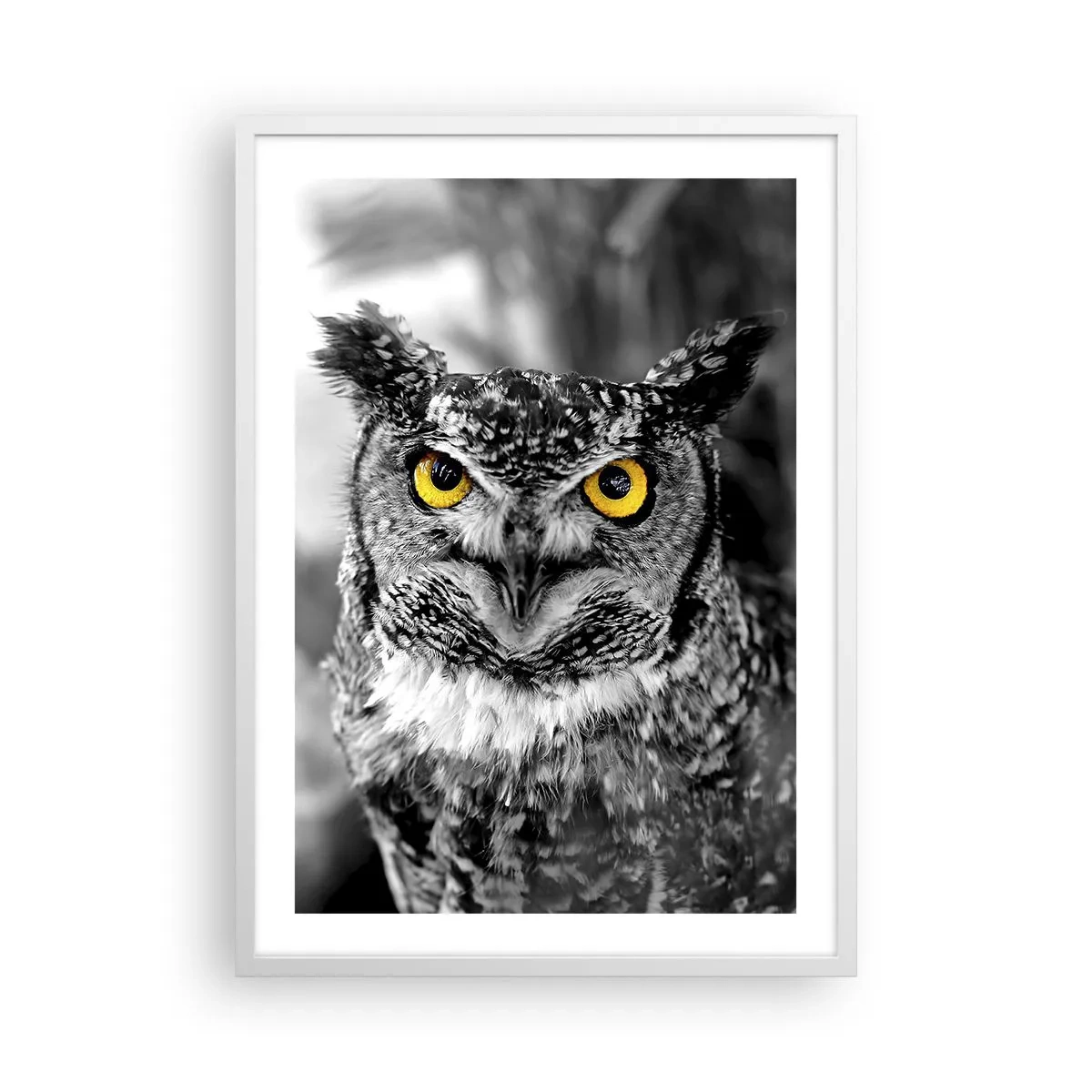 Póster en marco blanco - Nada se puede ocultar - 50x70 cm