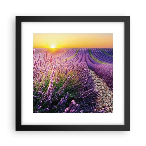 Póster en marco negro - Pradera fragante - 30x30 cm