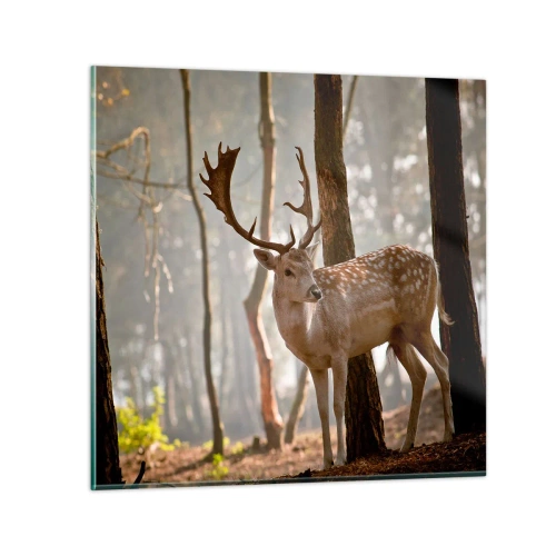 Cuadro sobre vidrio - Impresiones sobre Vidrio - La luz de la juventud - 30x30 cm