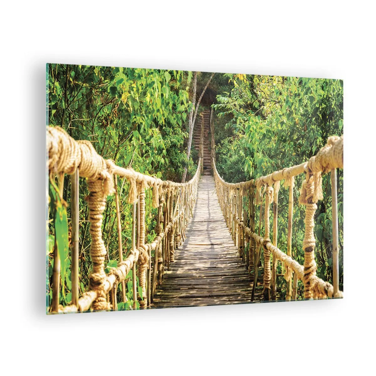 Cuadro sobre vidrio - Impresiones sobre Vidrio - Un puente de cuerda de madera rodeado de exuberante vegetación. - 70x50cm - Suspendido en verde - Decoración de pared moderna para salón y dormitorio ARTTOR