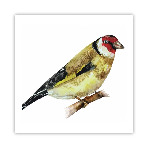 Póster - Retrato de pájaro - 60x60 cm