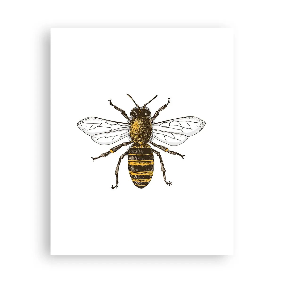 Póster - Bondad natural - 40x50 cm