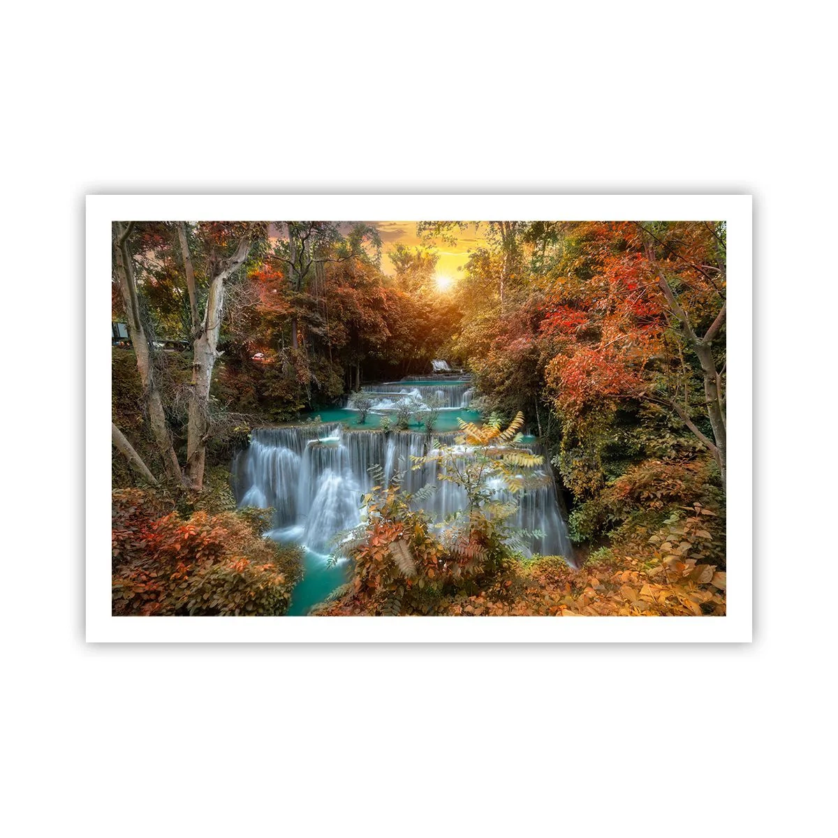 Póster - El tesoro escondido del bosque - 91x61 cm