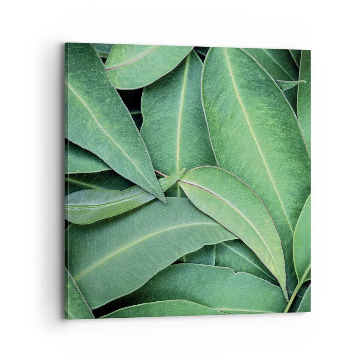 Cuadro sobre lienzo - Impresión de Imagen - Jugosidad y frescura - 70x70 cm