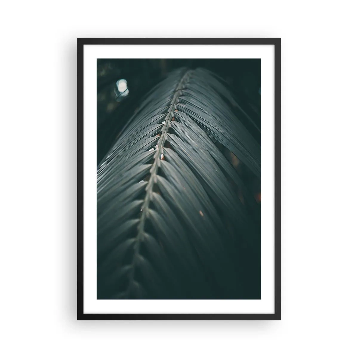 Póster en marco negro - Una hoja de palma en tono oscuro con iluminación suave. - 50x70cm - La precisión de la naturaleza - Decoración de pared moderna para salón y dormitorio ARTTOR