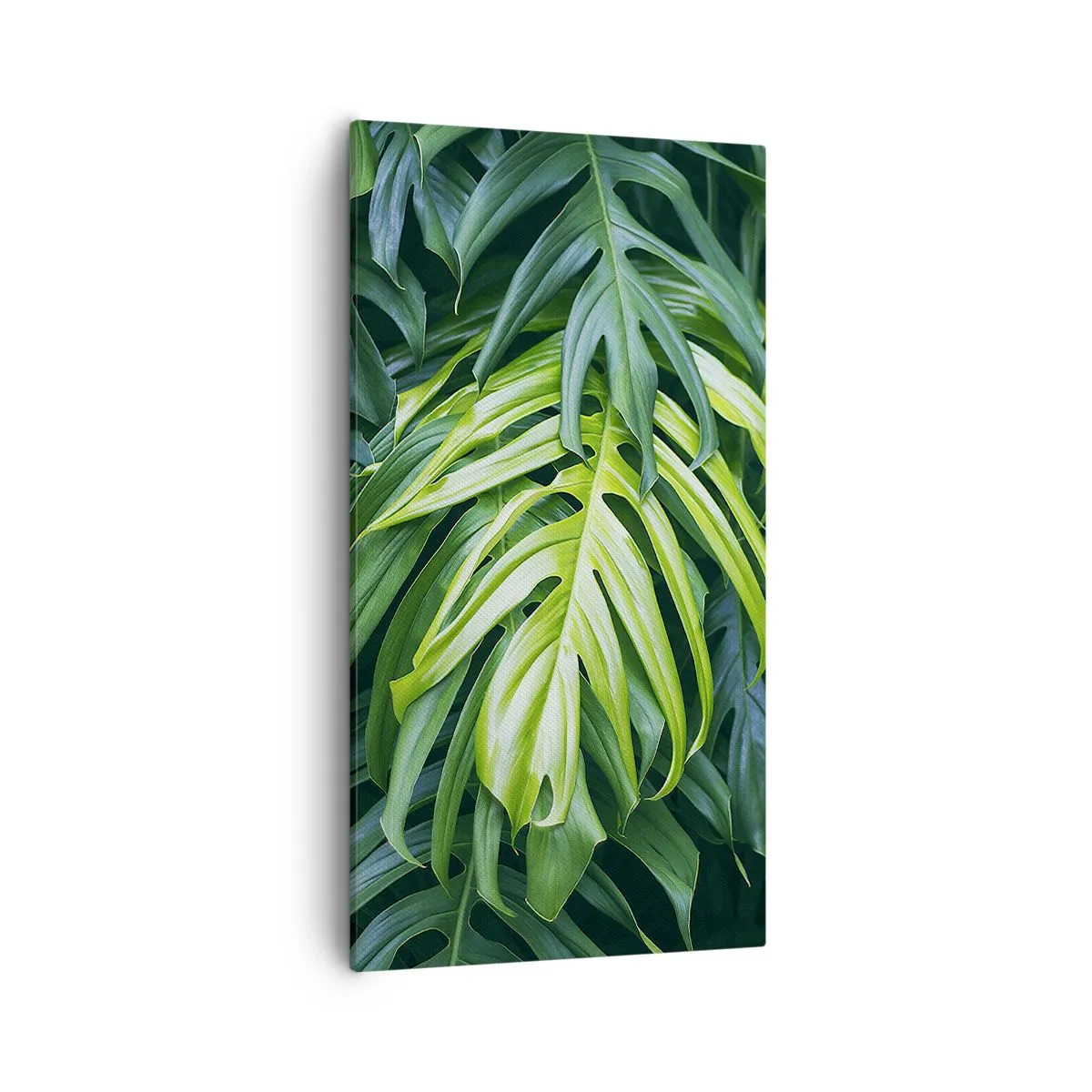 Cuadro sobre lienzo - Impresión de Imagen - Sumérjase en la frescura - 55x100 cm